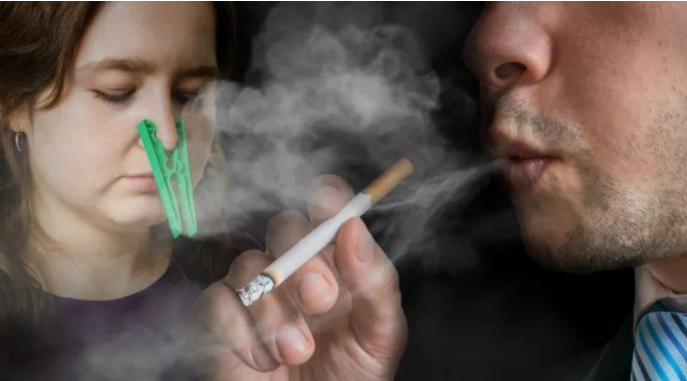 哪些綠植可凈化二手煙污染？趕緊養(yǎng)起來